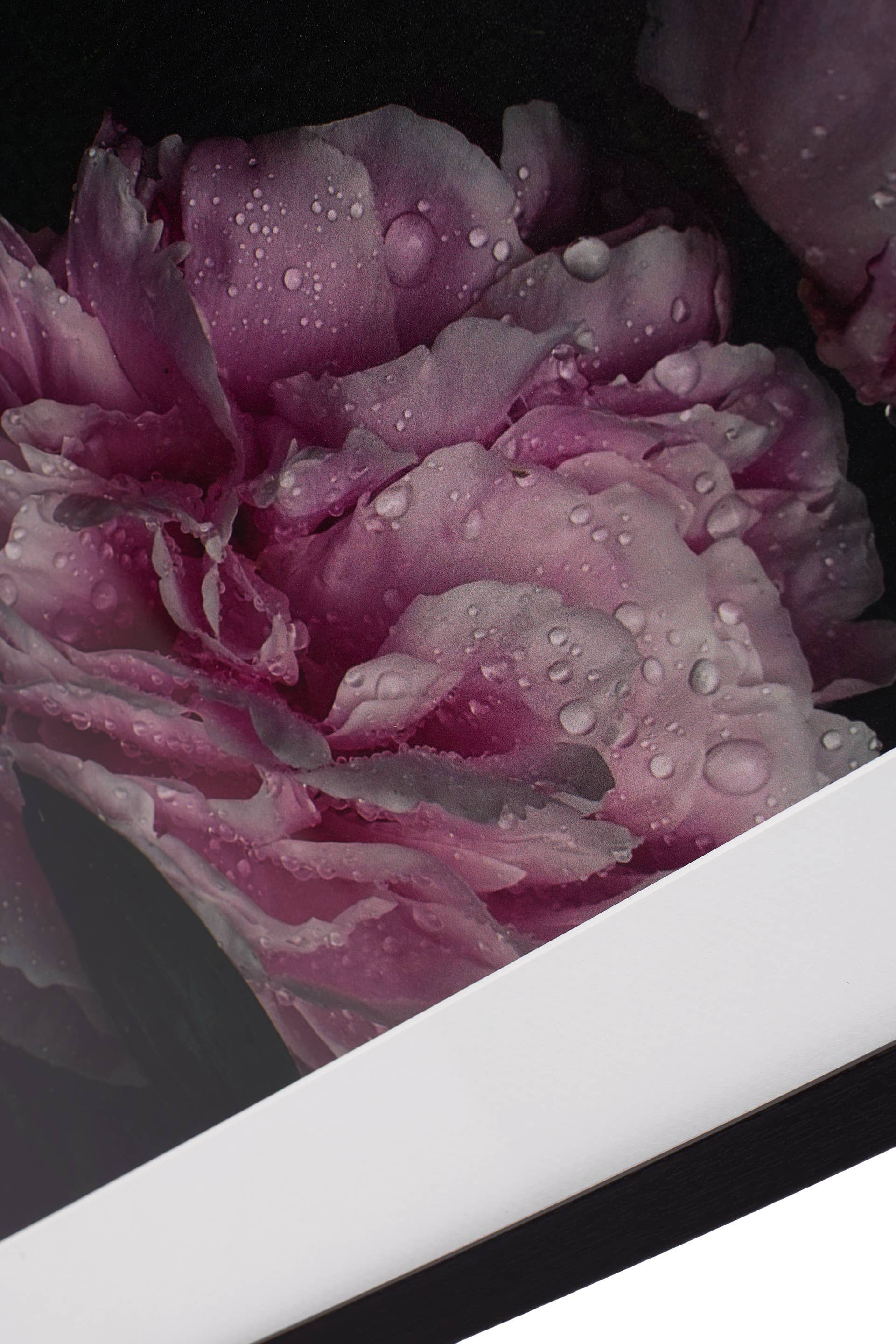 2792998_PNG-Web 72dpi.png? 2792998_PNG-Web 72dpi.png?